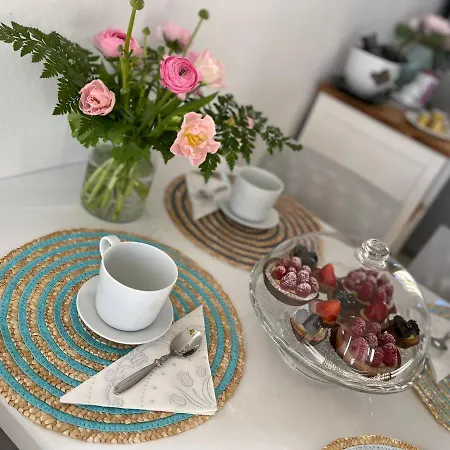 Apartamento Large, Luxurious Family In Biella's Historic Center *